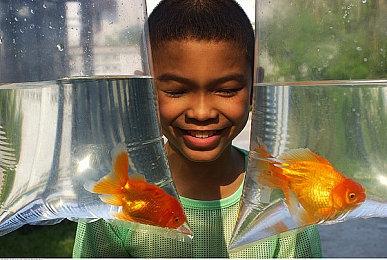 《死亡岛2》媒体评分解禁 M站均分74